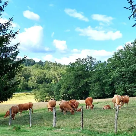 Сasa de vacaciones Cosy En Pleine Nature Dans Maison En Pierre Avec Piscine Et Wifi
