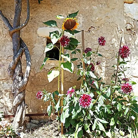 Cosy En Pleine Nature Dans Maison En Pierre Avec Piscine Et Wifi Saint-Romain-et-Saint-Clément